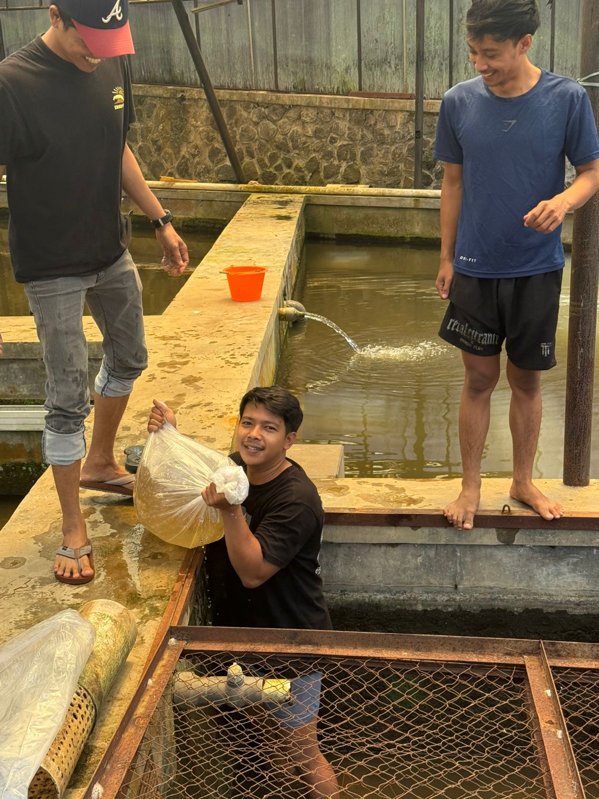 Layanan Akuarium